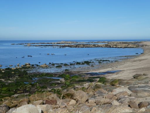 Le bord de mer - patrimoine sauvage et naturel