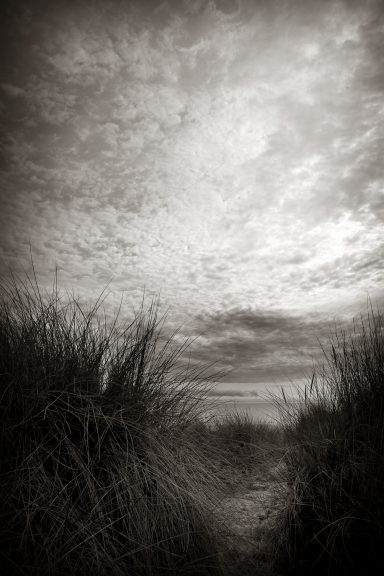 La côte ouest et son rivage